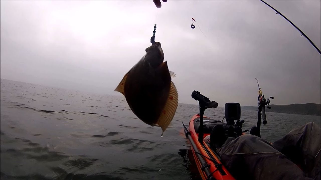 Kayak Fishing Right Time Right PLAICE Catch and Cook YouTube