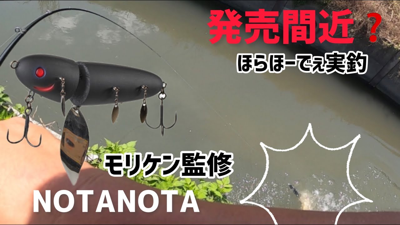 ハイドアップ】ノタノタ-