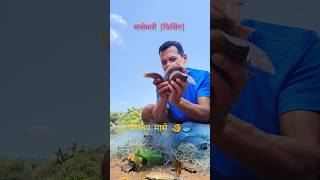 माझा नेहमीचा कार्यक्रम 🐠🐟😂🙋 #kokankar #comedy #sandippawaskar #netfishing #fish #fishing #river