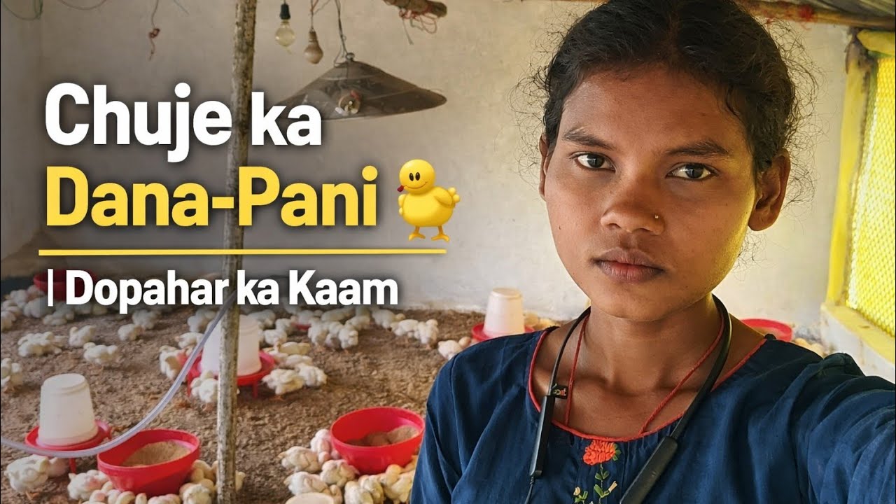 👉 Aaj Farm Me Dana Pani | Daily Farm Routine Vlog @Anureenadhurve5949