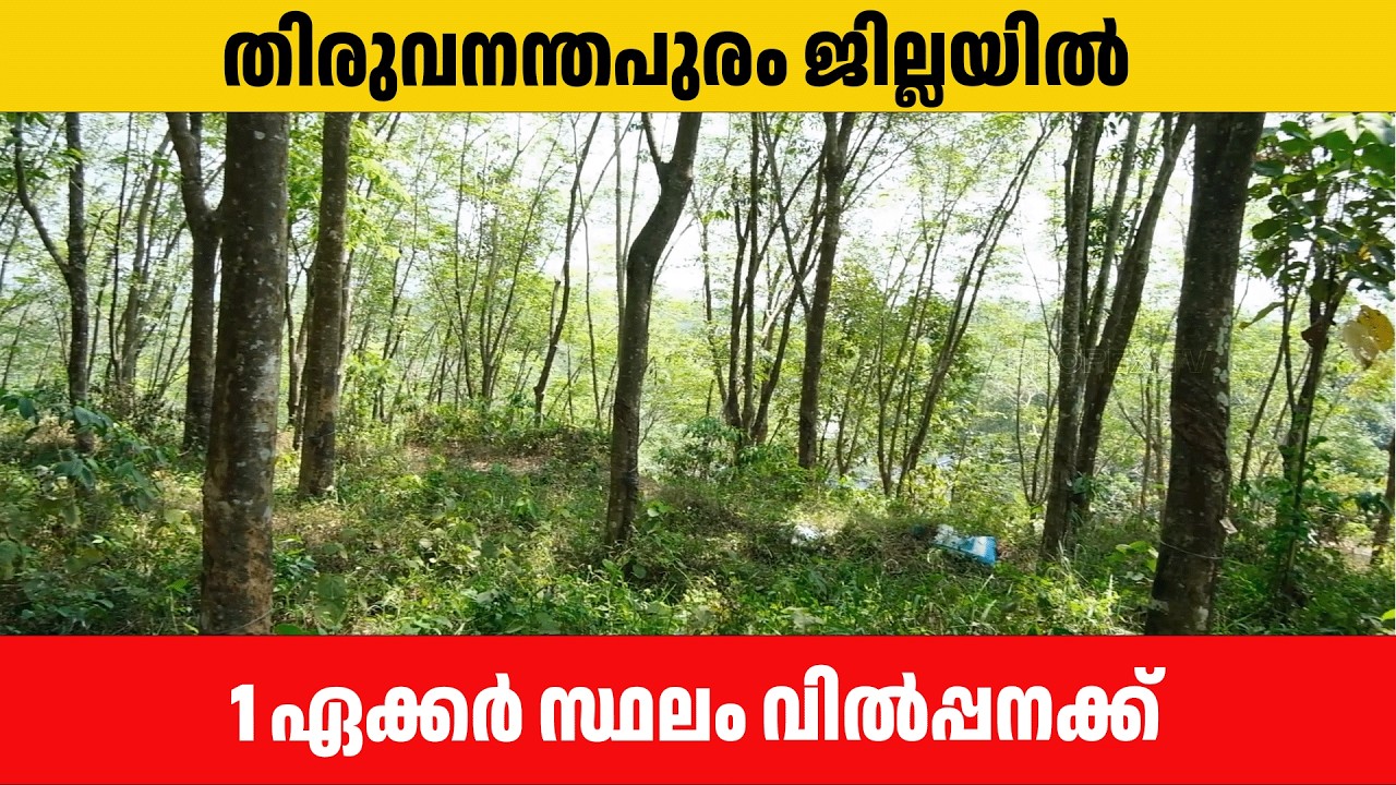 1 Acre land for sale in Nedumangadu Trivandrum | RAMESH TVM 22.03.2026