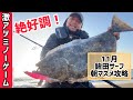 《絶好調》11月の鹿島灘良型ヒラメ‼️ミノーで釣る‼️