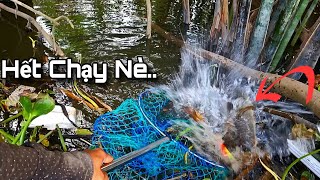 Tập 35 - Câu Cá Sông Giật Toàn Cá Bự Cỡ Này Đã Tay Thật | Trương Rô