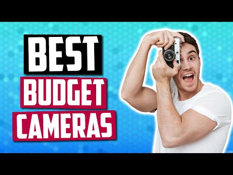 best-budget-camera-in-2019-|-professional-photography-on-a-budget