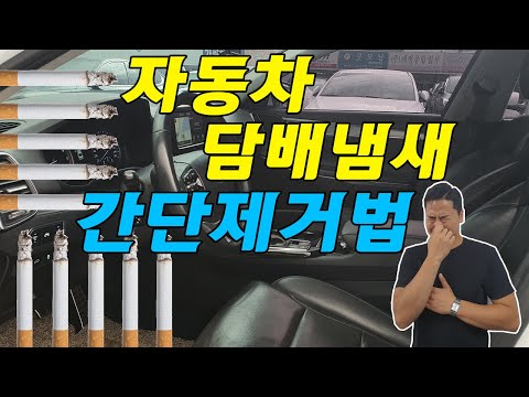 자동차 담배냄새 및 악취를 제거하는 방법