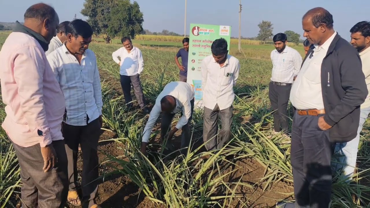 ऊस शास्त्रज्ञ श्री सुरेश माने पाटील सर लाइव्ह कशा पद्धतीने भरणी केली पाहिजे त्याबद्दल माहिती देताना 