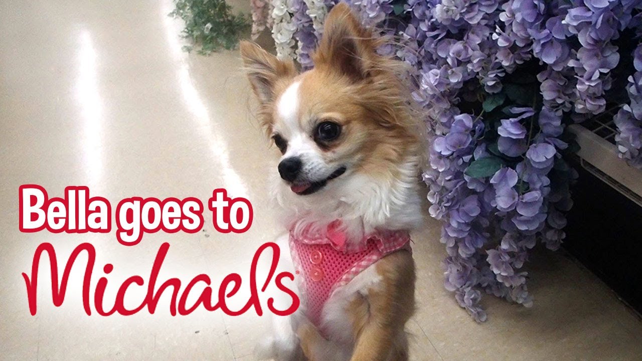 Is Michaels Pet Friendly?