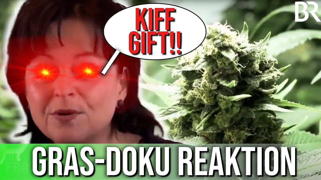 REAKTION auf Gras Doku 🌿| Reaktion #1 | Weedista