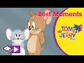 Tom and jerry  best moments with nibbles  boomerang