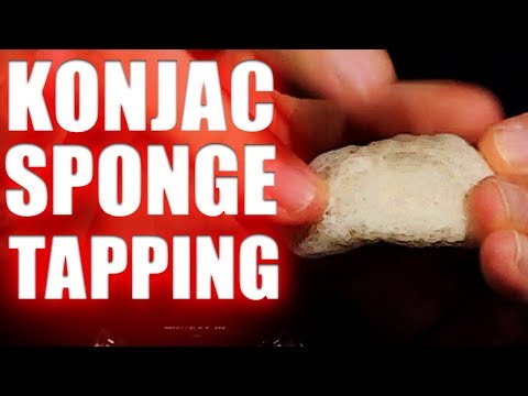 ASMR | Dry Konjac Sponge Tapping | NO TALKING | 1 Hour