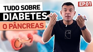 Tudo sobre Diabetes - Ep.01 O Pâncreas