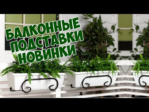 Видео: Подставка для перил балкона для растений – можно ли выращивать лианы на перилах