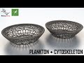 Grasshopper Tutorial for Beginners (cytoskeleton & plankton)