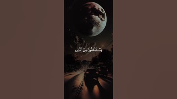 اكتب شيء تؤجر عليه 😴💚 قران كريم | ياسر الدوسري