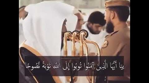 ماهر المعيقلي حالات واتس اب تلاوة هادئة