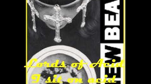 Thumbnail of Lords of Acid - I sit on acid