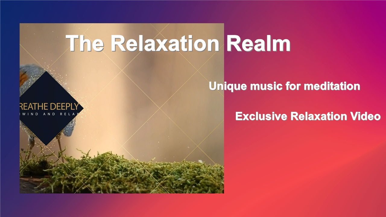 Journey to Calm: Relaxation and Meditation Music with Nature Sounds ...