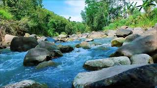 River Sounds – Crystal Water Flow for Mindfulness