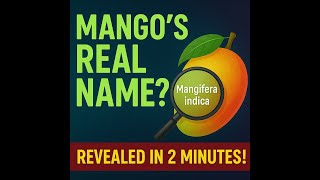 Mangifera indica: The Scientific Name of Mango (Explained with Fun Facts!) #scientificname #biology