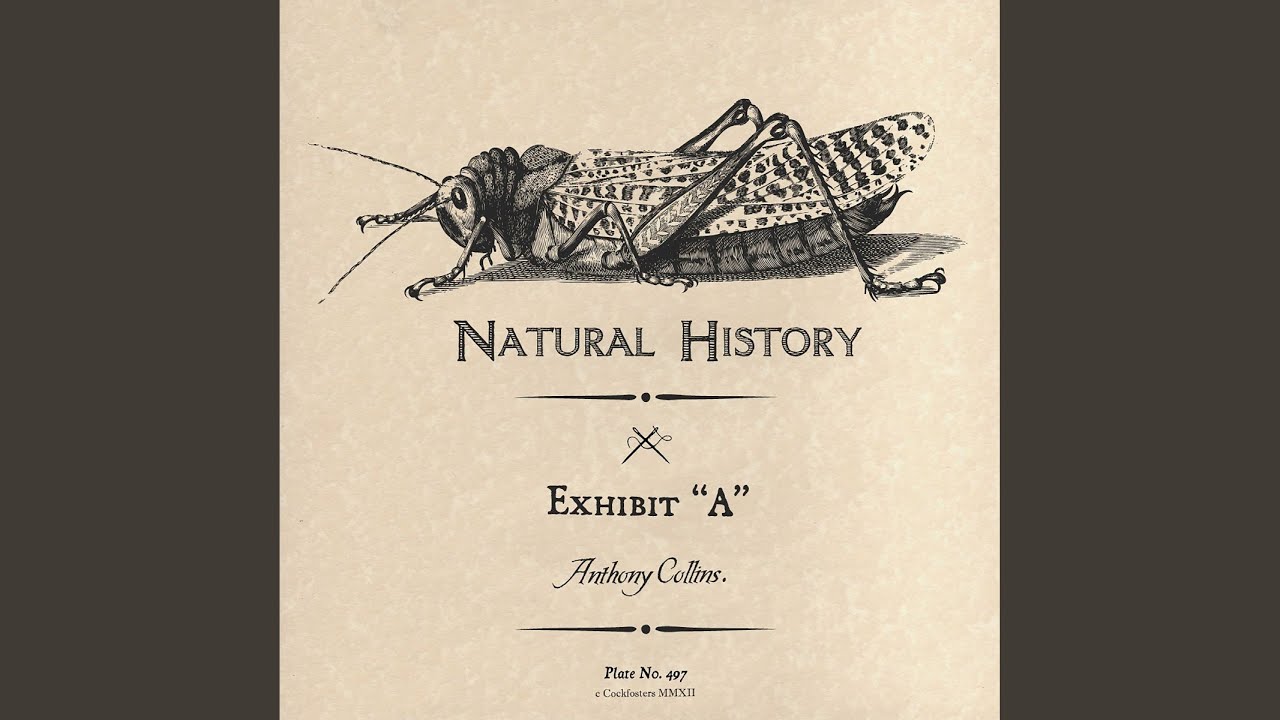 Watch Leopard (Vocal) on YouTube Watch Leopard (Vocal) on YouTube