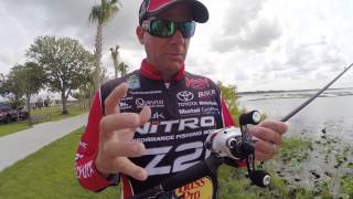 KVD introduces the new Quantum Icon reel
