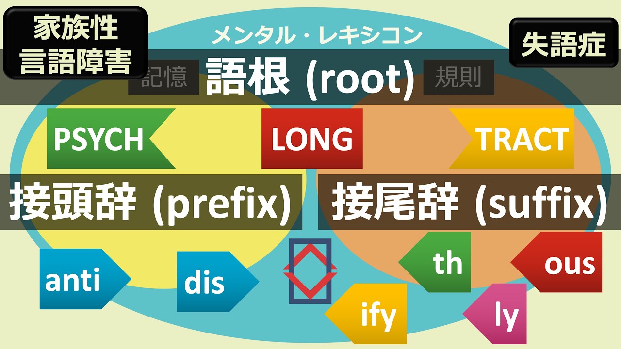 語の知識、語をつくる小さなパーツ 〜メンタル・レキシコン、形態素、語根、接辞〜【形態論#1】