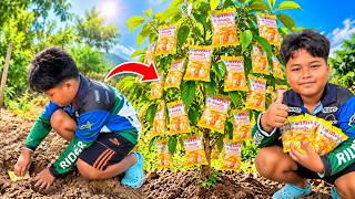 Survival Skills Growing in the Forest #survival #outdoors #camping #forest #grow #shorts