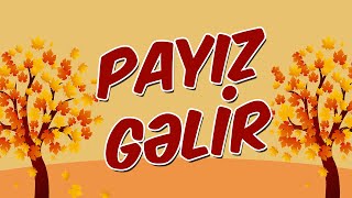 PAYIZ GƏLİR şeiri