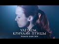 Помни Имя Свое – Улетаем, кричали птицы (стихи Владимир Ток) live