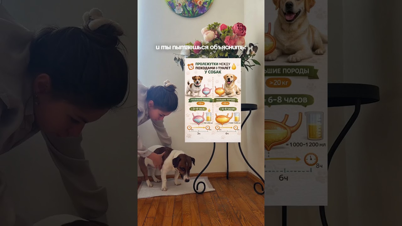 Хорошо впитывают. Артикул на ВБ: 