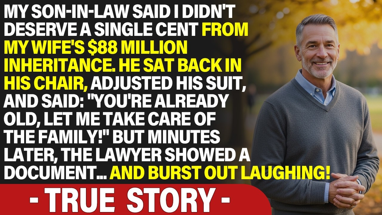 My son in law said I didn't deserve a single cent from my wife's $88 MILLION inheritance He sat - YouTube