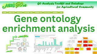AgriGO: A web-based tool to perform gene ontology enrichment analysis