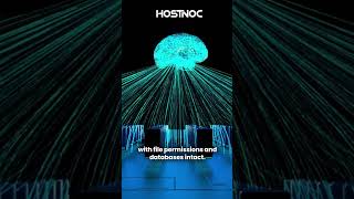 How to Migrate cPanel to a High-Performance KVM Server | HostNOC