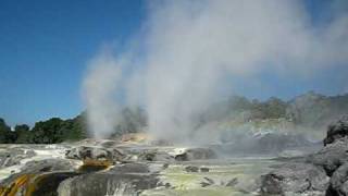 Geysers In Te Puia