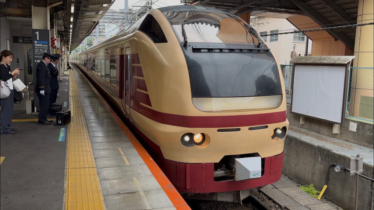 4K高画質】【臨時特急絶景ネモフィラ高崎号（往路）】E653系1000番台ｶﾂ