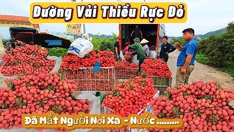 CẬN CẢNH CON ĐƯỜNG MÀU ĐỎ CỦA  VẢI THIỀU LỤC NGẠN VÀ SỰ CỰC NHỌC CỦA NGƯỜI DÂN