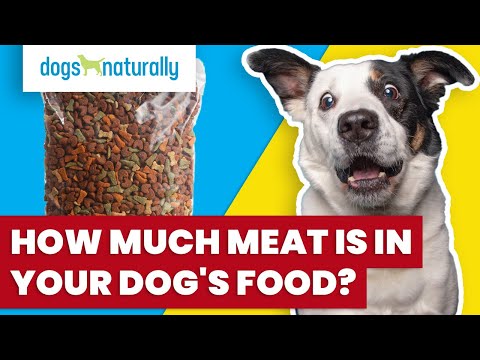 Video: Sorgum - Haruskah Itu Menjadi Makanan Anjing Anda?
