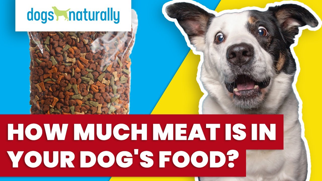 what percentage of a dogs diet should be meat
