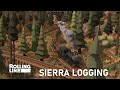 Rolling Line's New Sierra Logging Railroad Map - First Look and My honest thoughts.