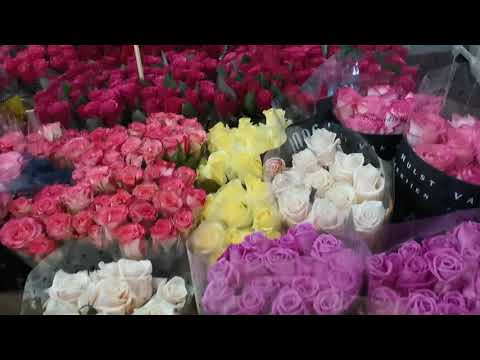 Video: Noteikumi Svaigu Ziedu Pušķa Sastādīšanai