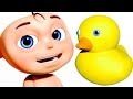 The Bath Song | Learn Body Parts For Babies | Nursery Rhymes Collection For Children