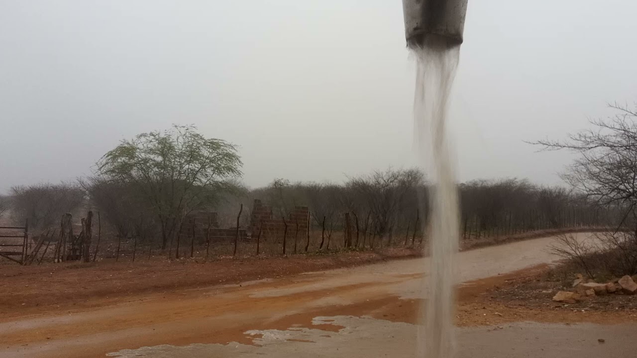 CHUVA NO SERTÃO. 