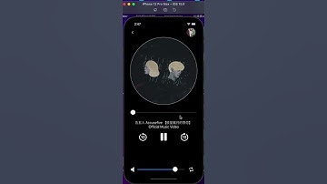 彼得潘swift開發小作業 音樂播放器