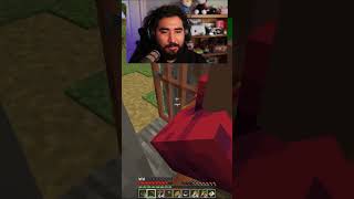 Minecraft Villager Extermination