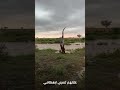 غنت حمايم غنت حمايم