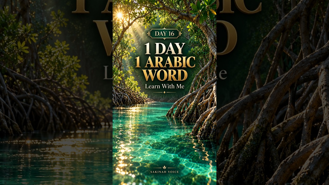 1 Day, 1 Arabic Word • Day 16 #quran #arabic #peace