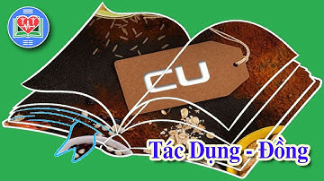 Tác Dụng Của Đồng Đối Với Sức Khỏe Chủ Động Con Người | Hinedu