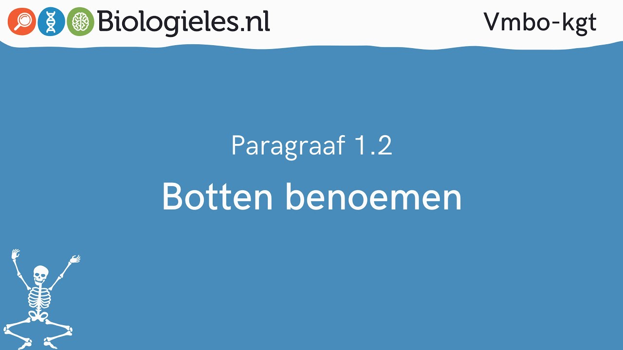 Vmbo-kgt 1 | Stevigheid en beweging | 2. Botten benoemen | Biologieles