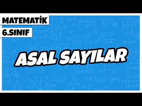 6. Sınıf Matematik - Asal Sayılar | 2022