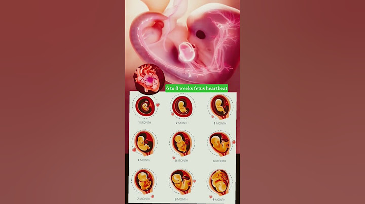 6 to 8 Weeks Fetal Heartbeat – The Sound of New Life #pregnancy #fetus #baby #shorts #heartbeat